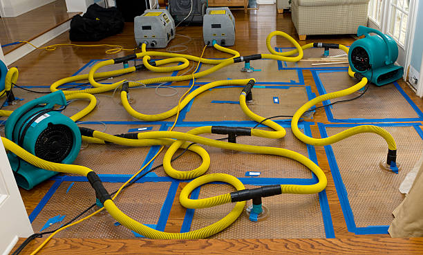 Professional Water Damage Repair technician working in Philo, IL